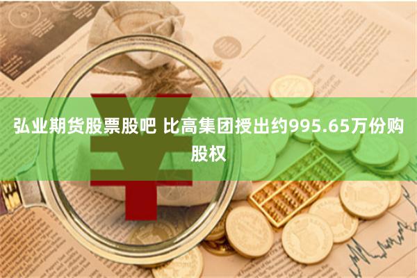 弘业期货股票股吧 比高集团授出约995.65万份购股权