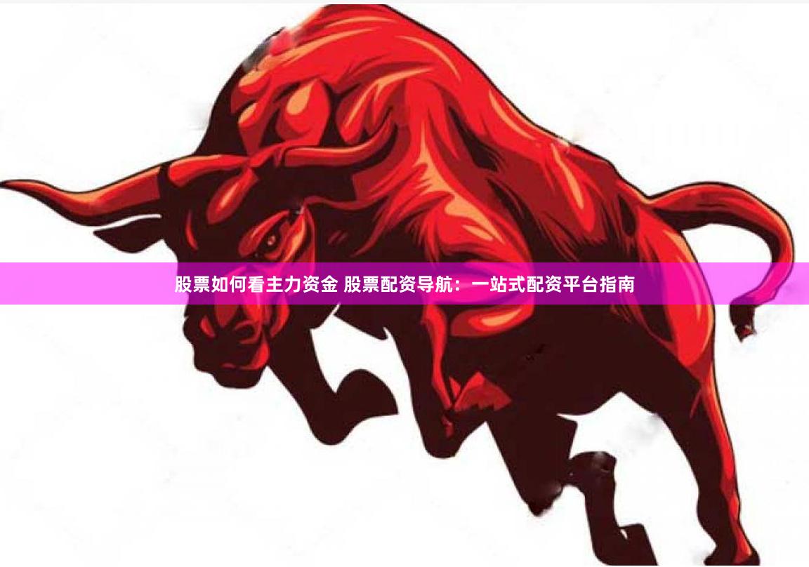 股票如何看主力资金 股票配资导航：一站式配资平台指南